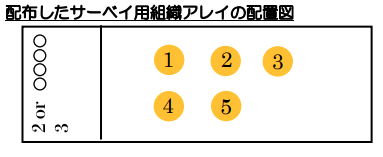 配布したサーベイ用組織アレイの配置図